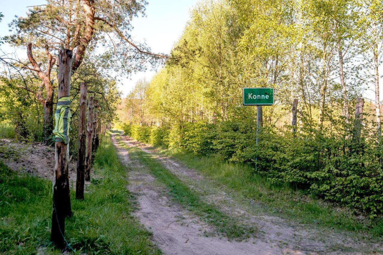In The Woods - Chata W Lesie Na Wylacznosc Villa Supraśl Kültér fotó